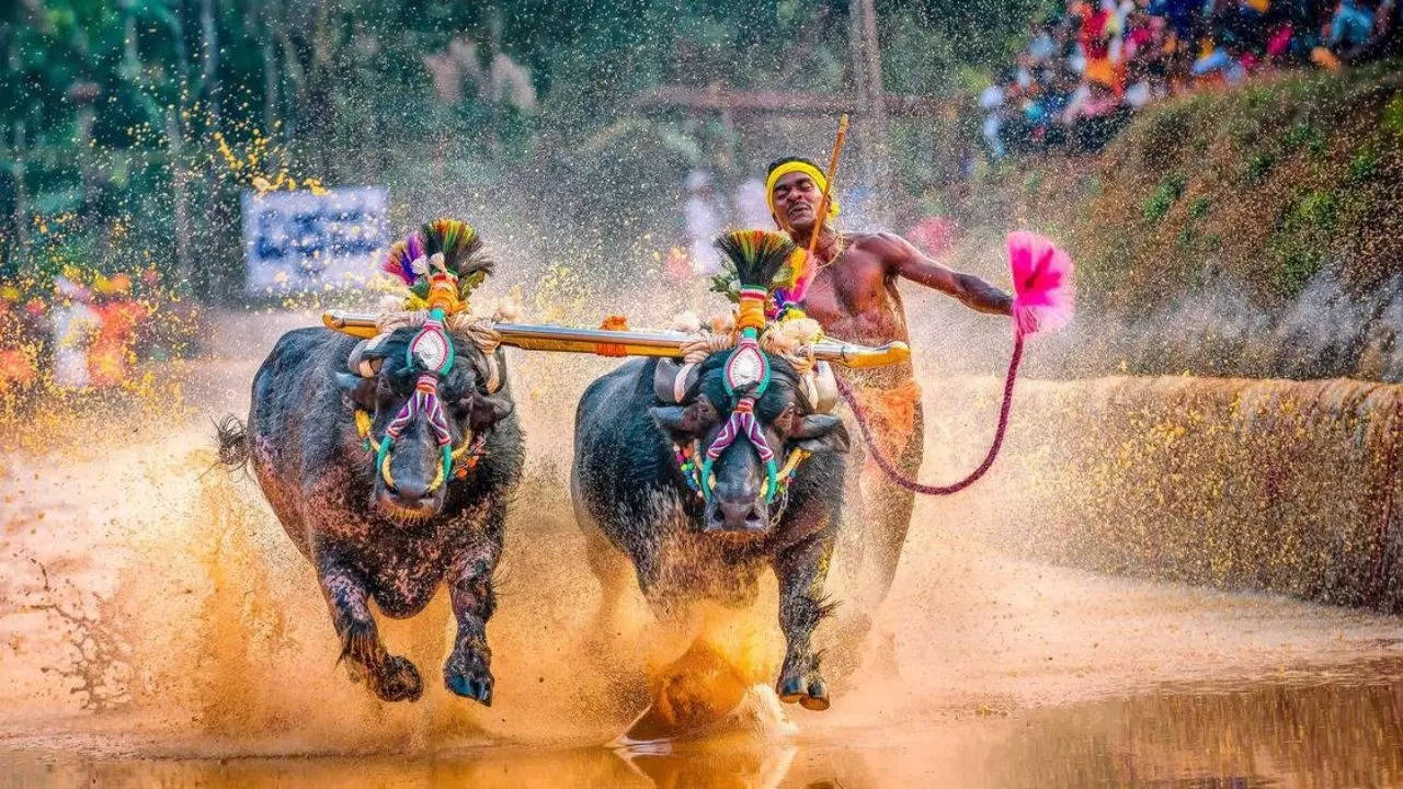 KAMBALA 2023