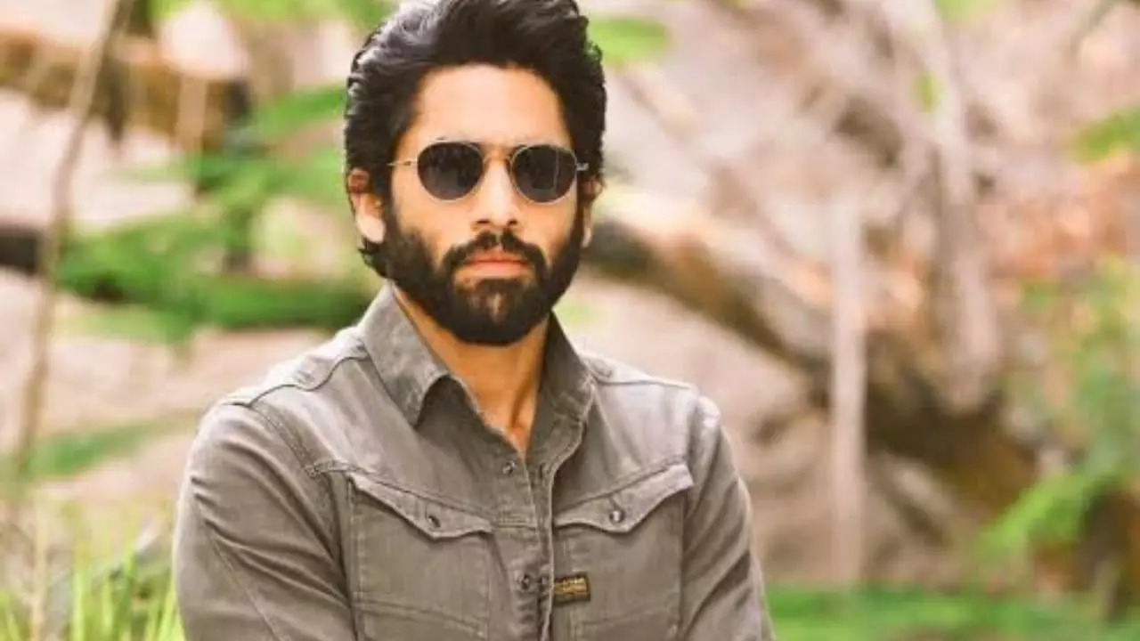 Naga Chaitanya On What Affects Him The Most , 'The Only Thing That Bothers Me Is If They Write Anything About...