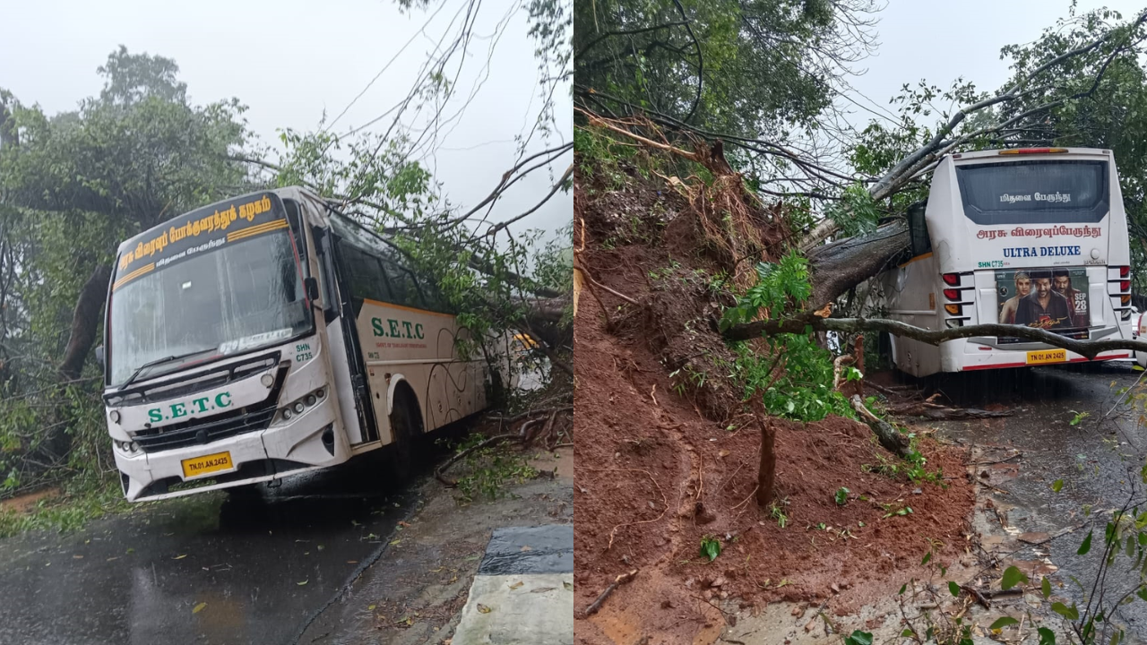 tree falls on bus tamil nadu