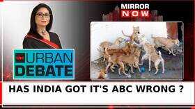 Biting Terror In Chennai 1 Dog 1 Hour 27 Bites Has India Got Its ABC Wrong Urban Debate