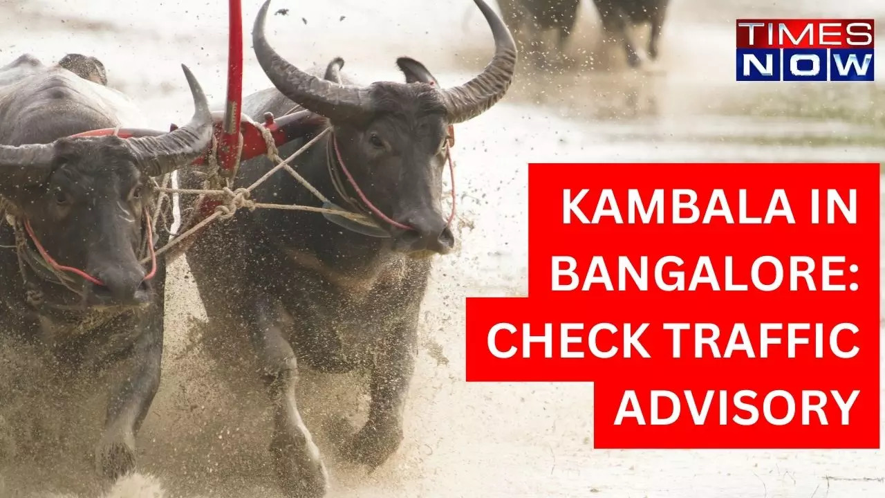 KAMBALA IN BANGALORE CHECK TRAFFIC AND AIRPORT ADVISORY