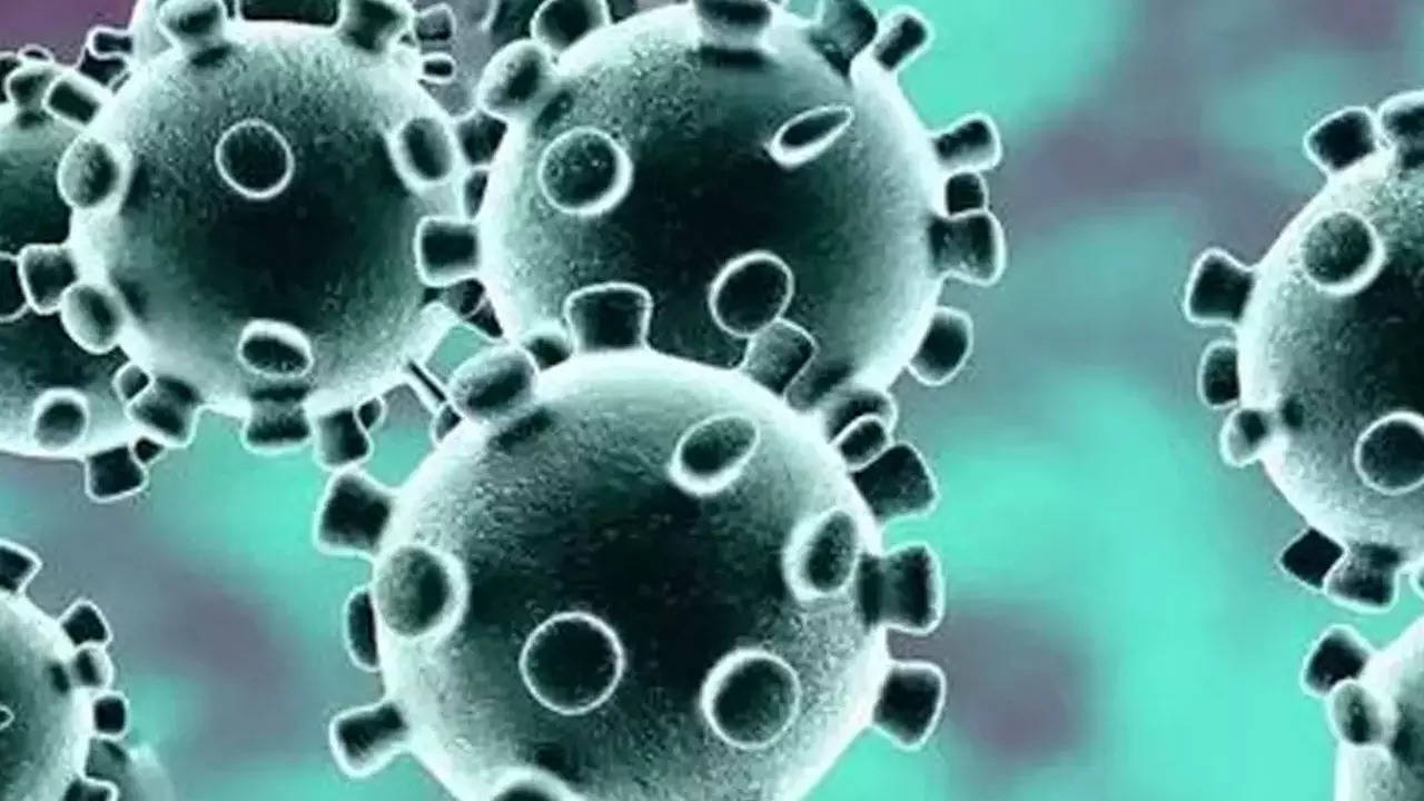 government is closely monitoring the new outbreak of H9n2