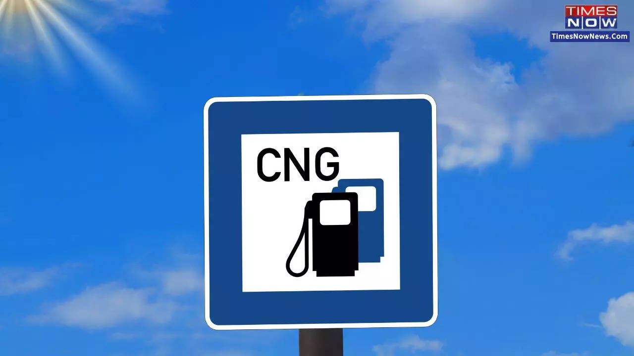 Govt Makes Phased Blending of Compressed Bio-Gas With CNG, PNG Mandatory