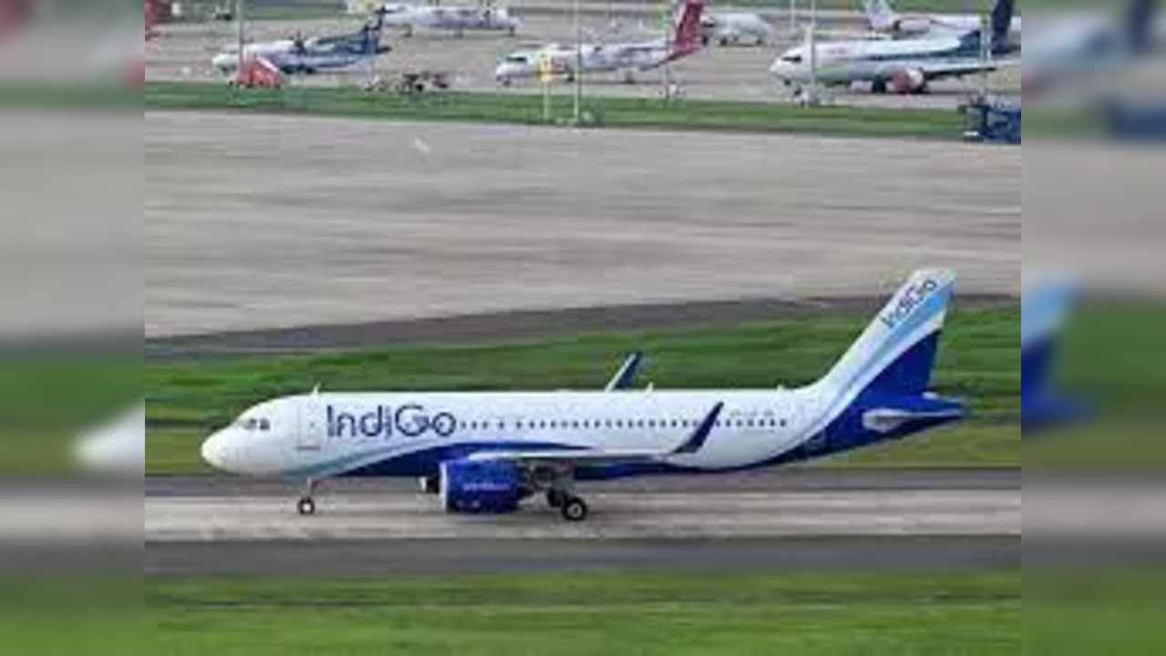 Indigo Airlines.