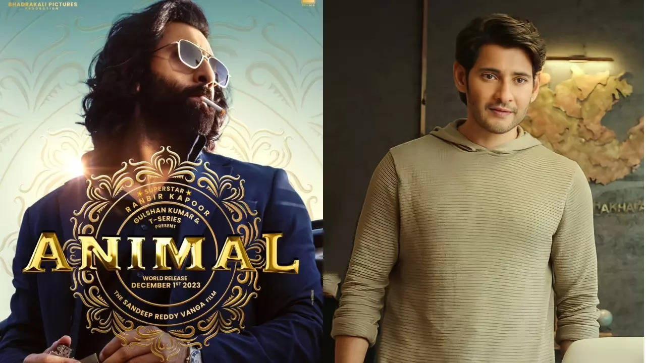 EXCLUSIVE! Animal Was Originally Called Devil, Was Offered To Mahesh Babu