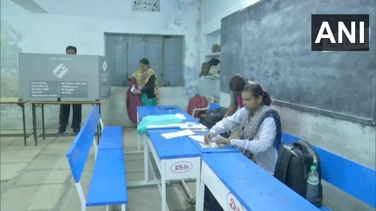 Hyderabad Voters Can Check Live Status of Queues At Polling Stations On Nov 30; Here's How