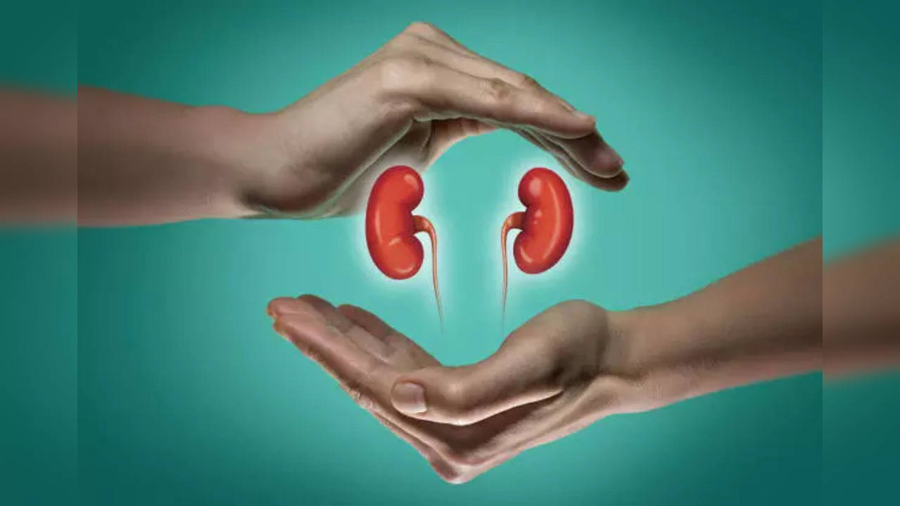 kidney health