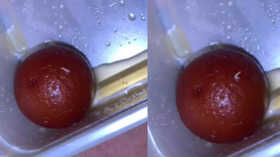 Viral Video Chennai Man Finds Worm Wriggling On Gulab Jamun Clip Garners Over 5 Million Views
