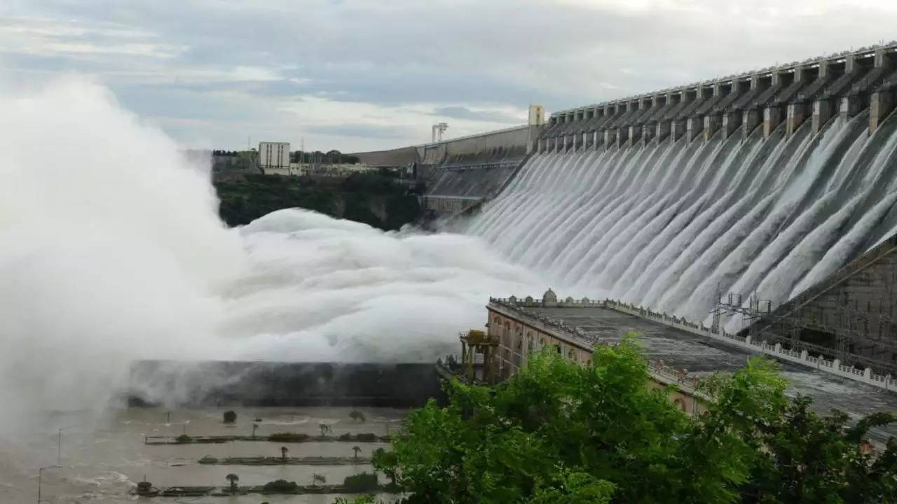 నాగార్జున ప్రాజెక్ట్