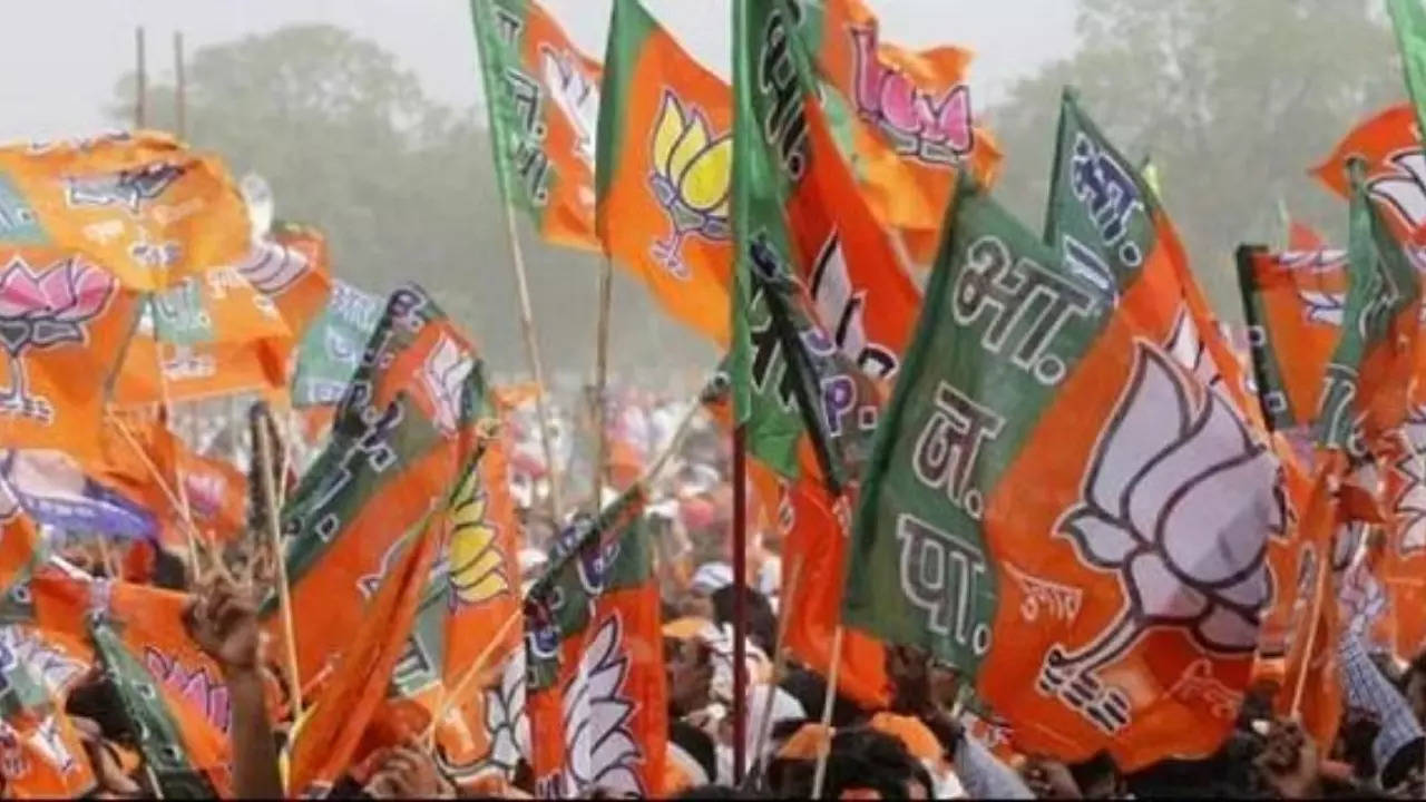 BJP Flags