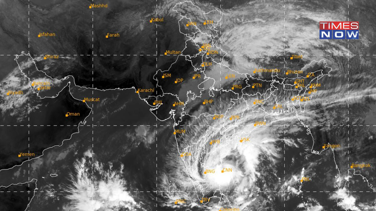 Cyclone Michaung: IMD Red Alert For 11 Districts As Andhra Pradesh Braces for Landfall