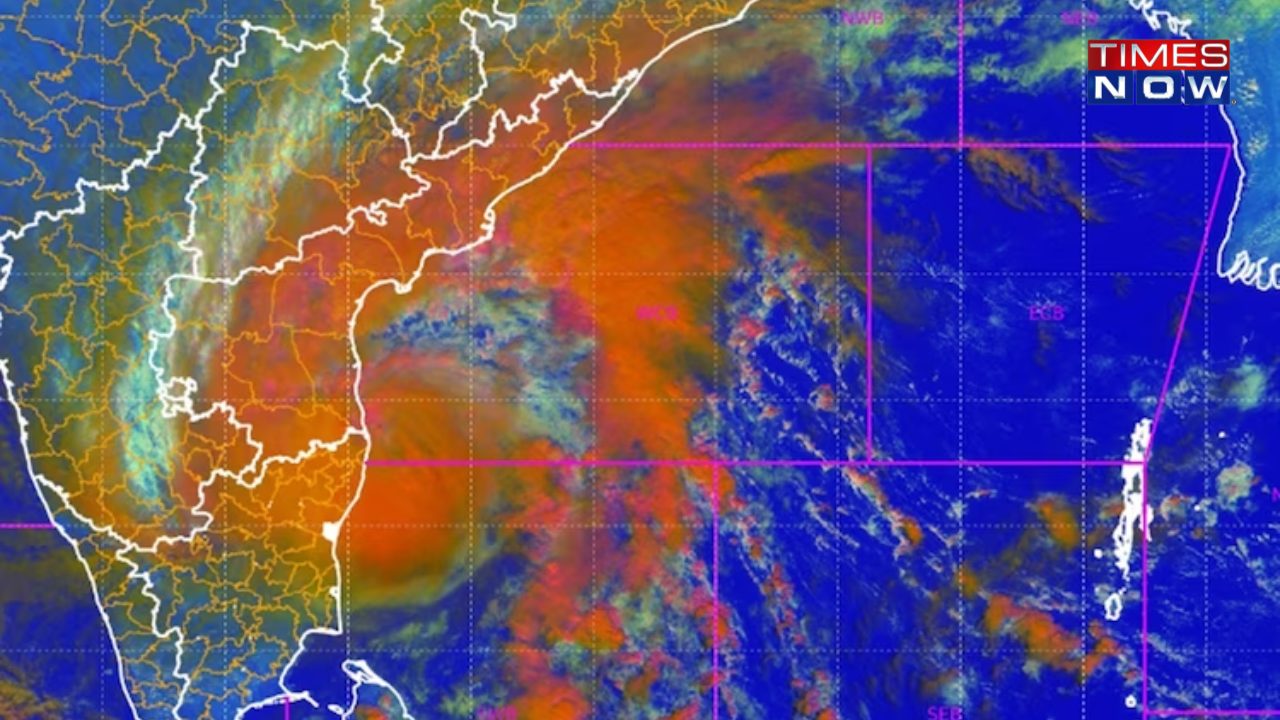 Cyclone Michaung Intensity (Image: IMD)