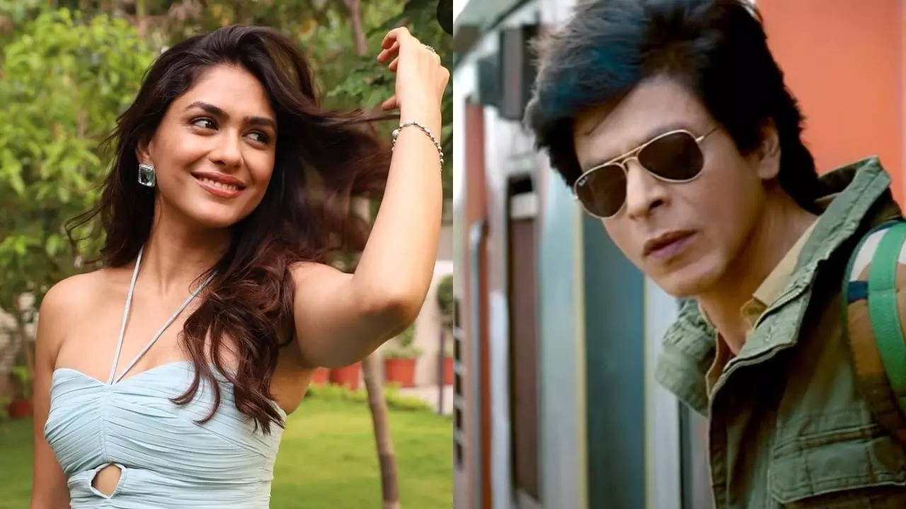 Why Is Mrunal Thakur Still Single? Hi Nanna Actor Blames Dunki Star Shah Rukh Khan