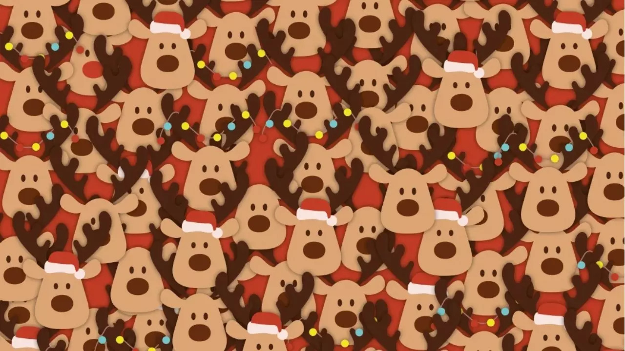 Spot Rudolph Among All of the Other Reindeer in This Holiday Brainteaser.