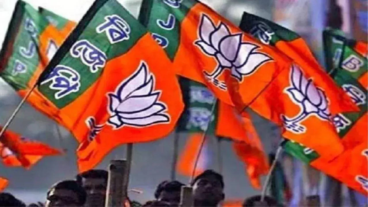 BJP won three states