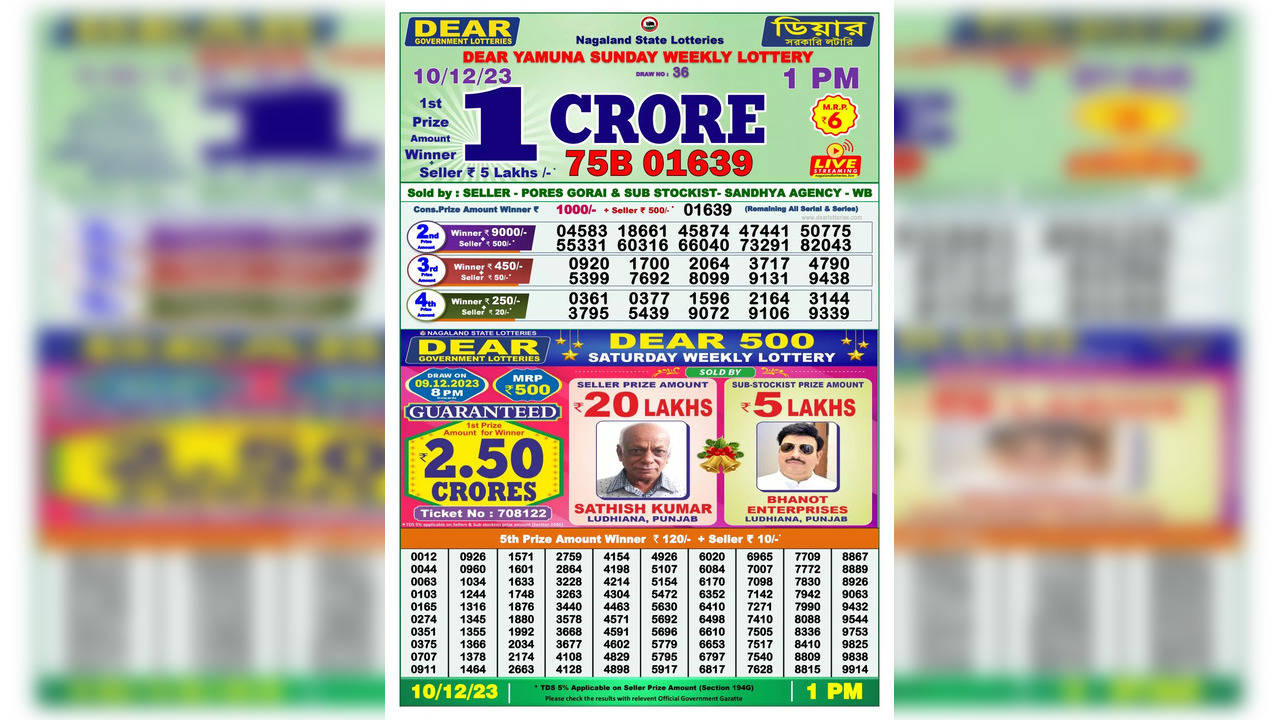 Nagaland State Lottery Result: March 10, 2024, 4 PM Live - Watch Streaming  Of Winners List Of Dear 100 Plum Sunday Weekly Draw
