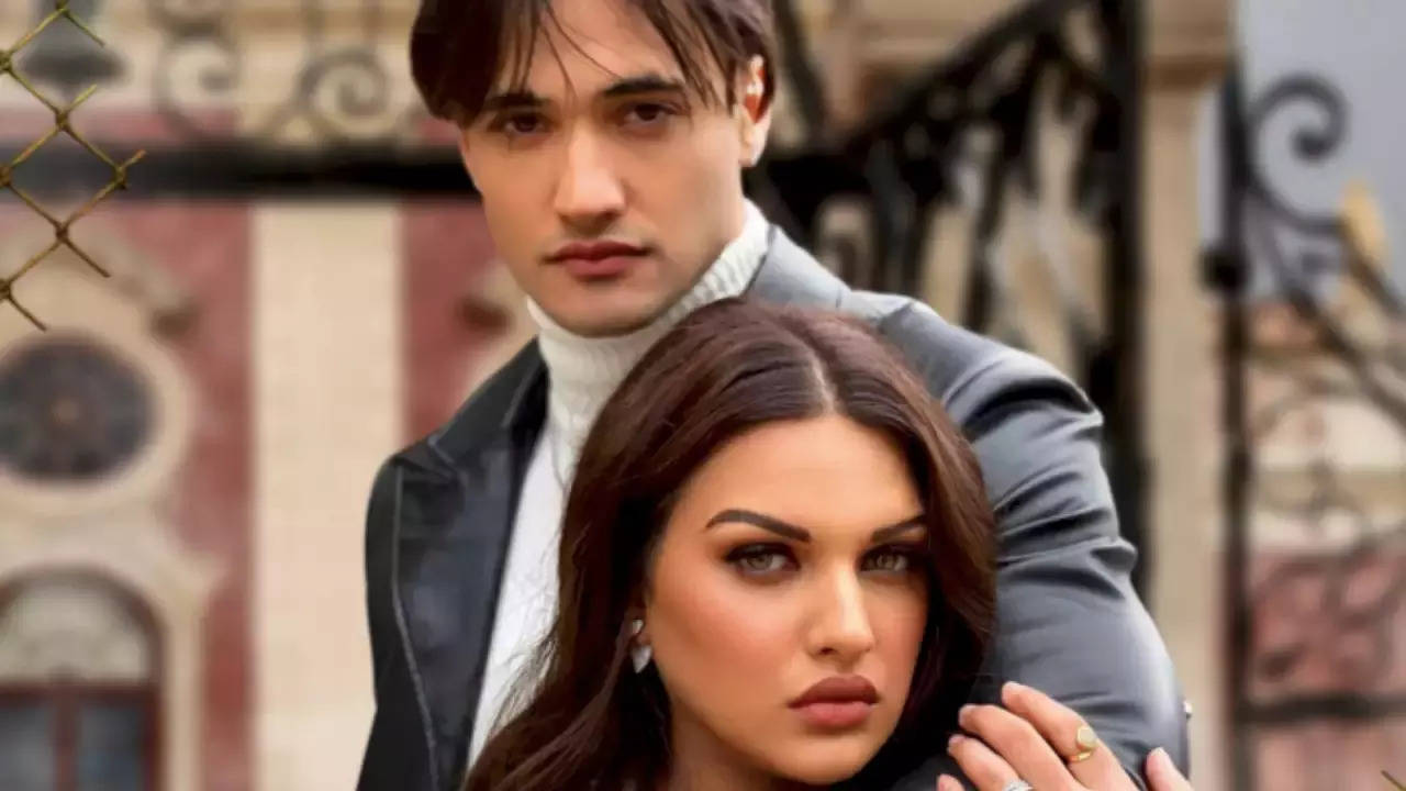 Himanshi Khurana Breakup