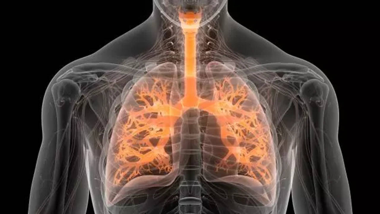 mycoplasma pneumonia