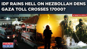 Dozens of Hamas Terrorists Surrender to Israeli Soldiers as Gaza War Fuels Apocalyptic Situation