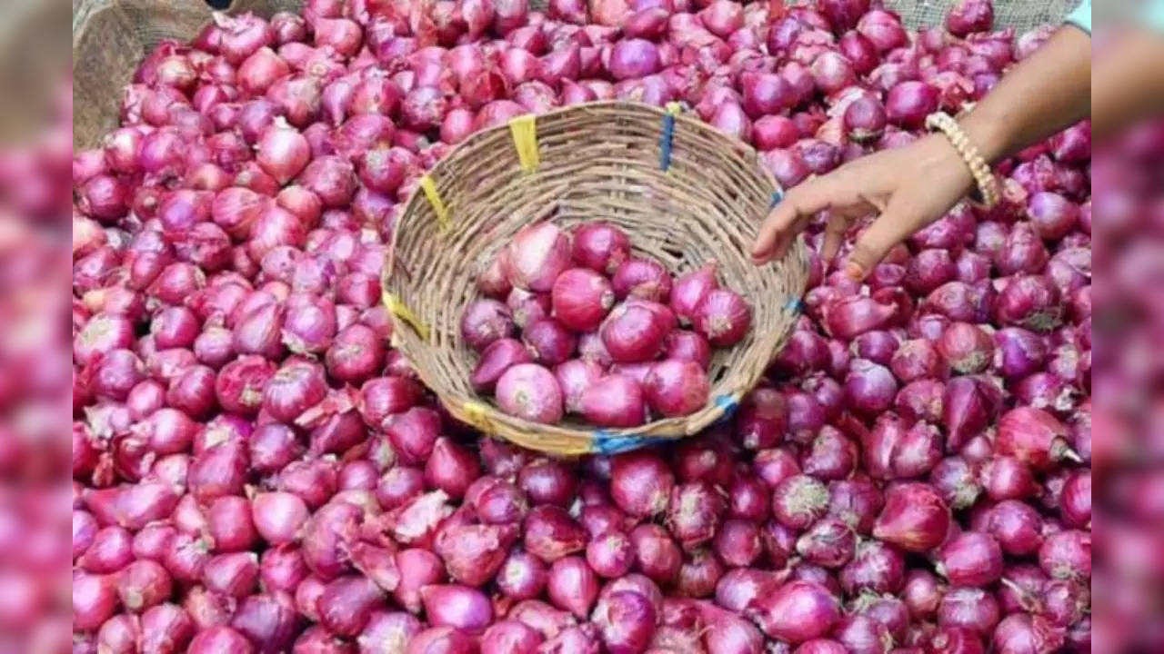 onion price