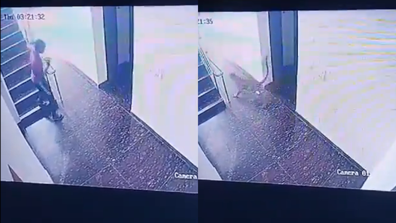 Leopard Enters Girls Hostel, Tries To Attack Person In Rajasthan’s Udaipur