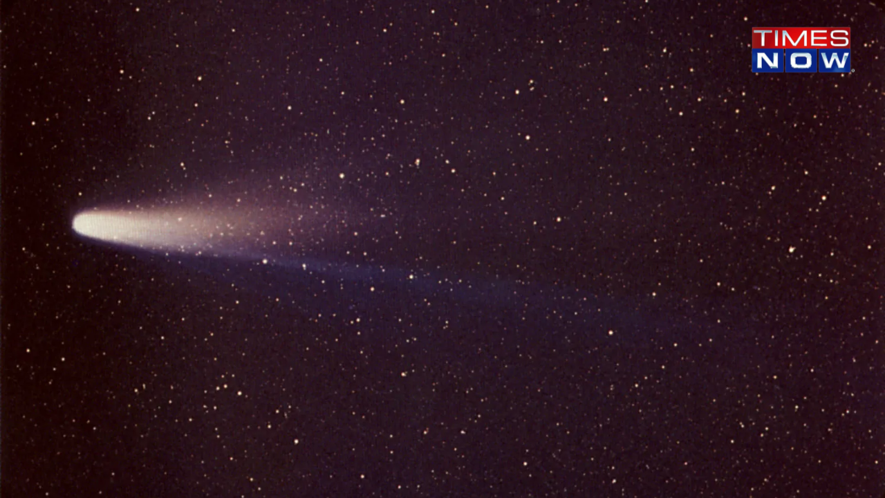 Halley's Comet