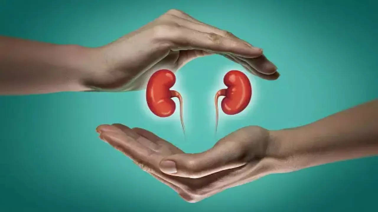 In International Kidney Swap, Mumbai Man donates Organ to Tanzania woman, Gets one for his Mother