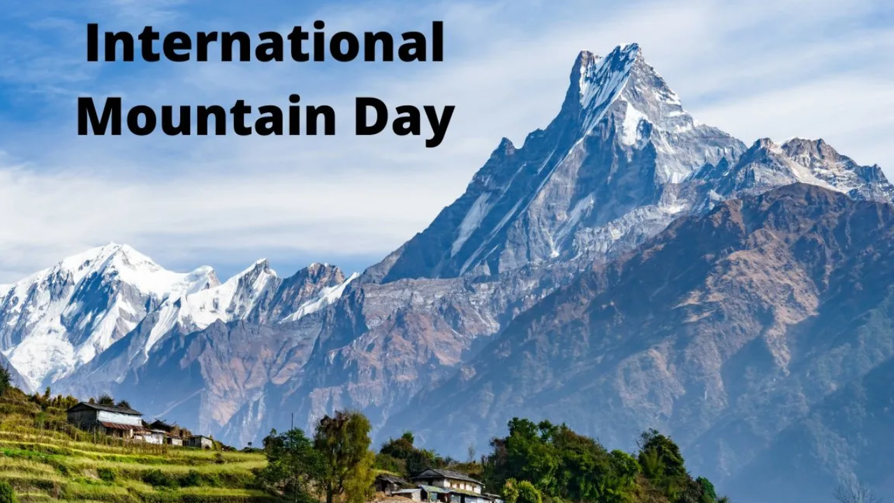 International Mountain Day