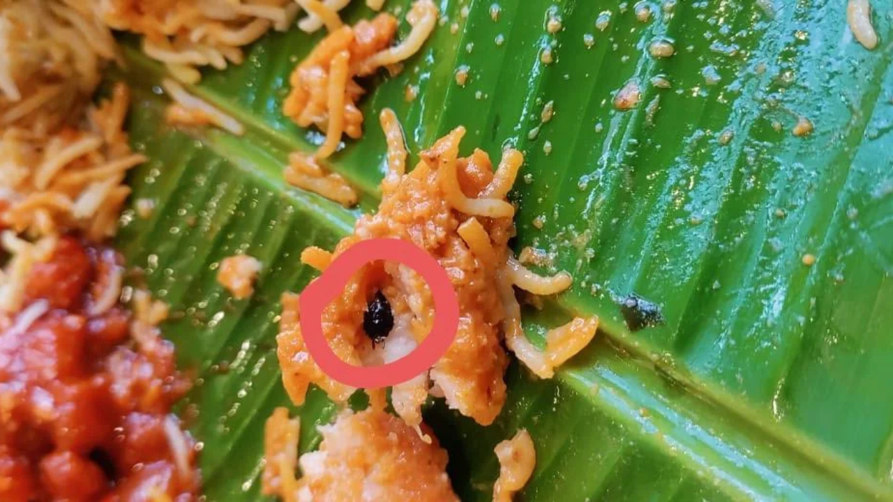 Dead Cockroach Found in Chicken Rice Dish