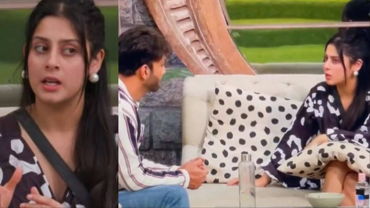 Bigg Boss 17: Abhishek Kumar Was Removed From Udaariyaan; Isha Malviya Makes Shocking Revelations