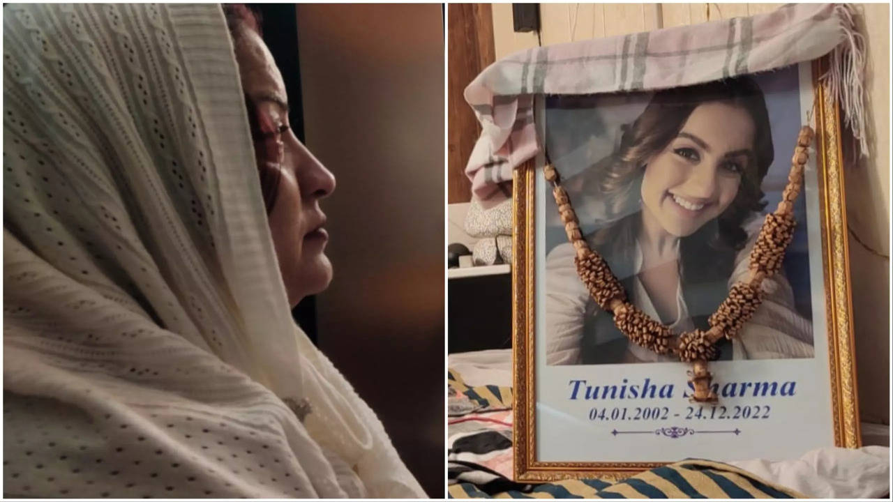 Tunisha Sharma: Ahead Of Tunisha Sharma's Death Anniversary, Family ...