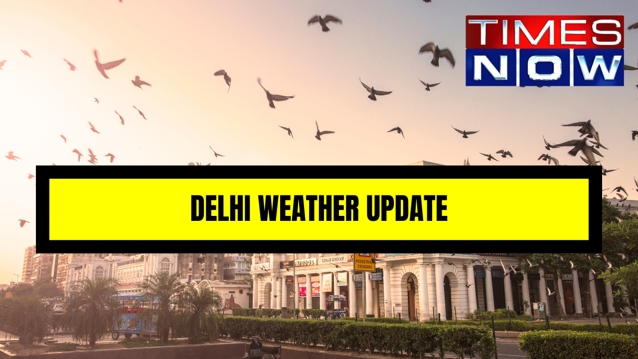 Delhi Weather Update