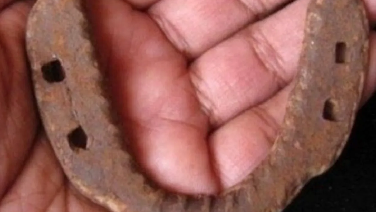 horseshoe ring astro tips how to wear iron horseshoe ring know here