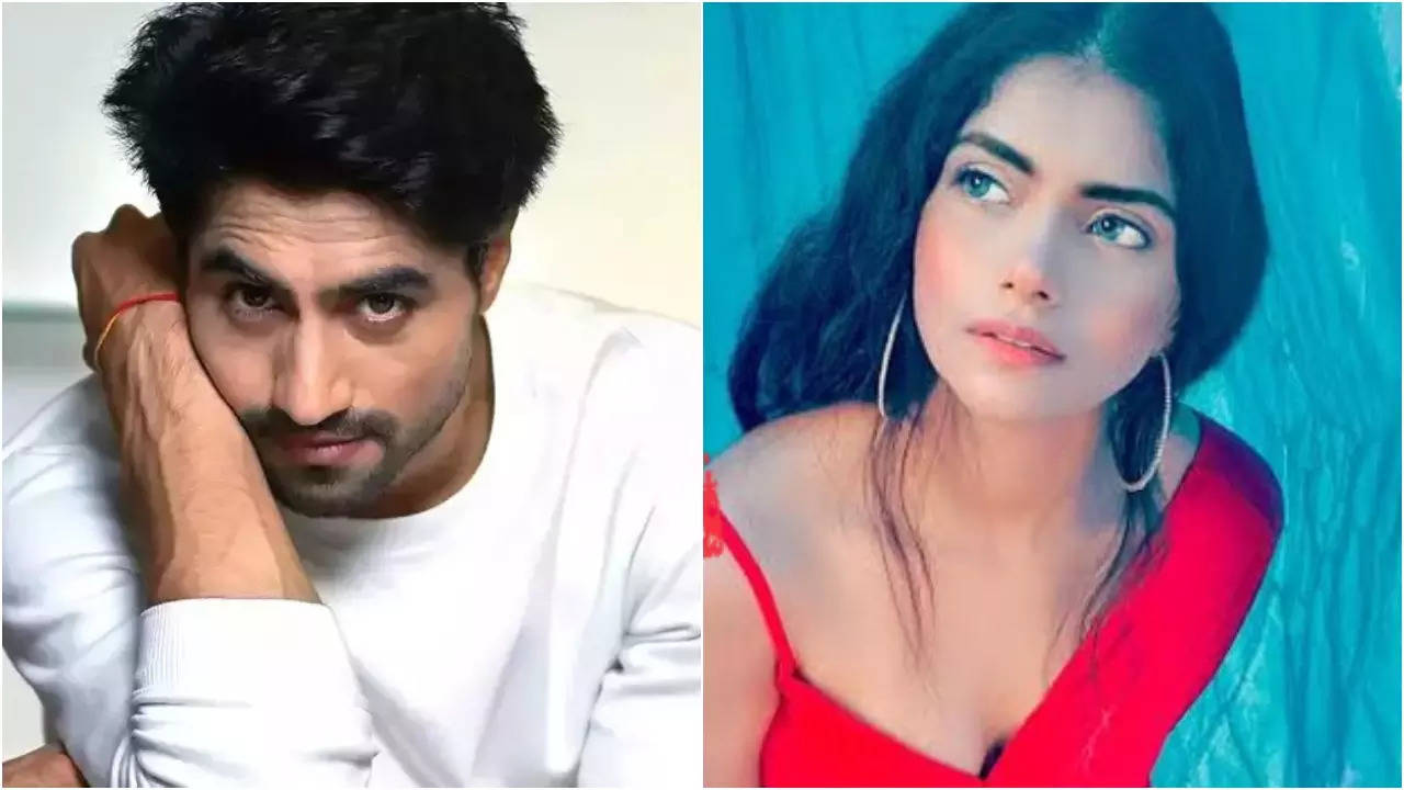 Harshad Chopda and Shalini Singh are among the TV newsmakers today.