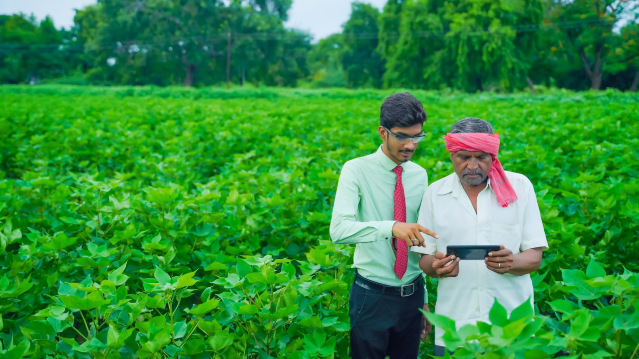 Unleashing the Power of Strategic Management in India's Agricultural Sector