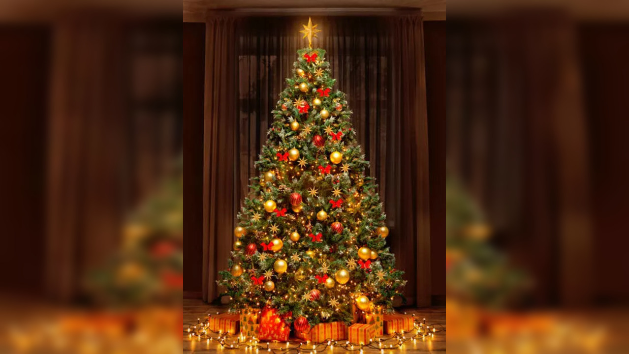 Significance of Christmas Tree