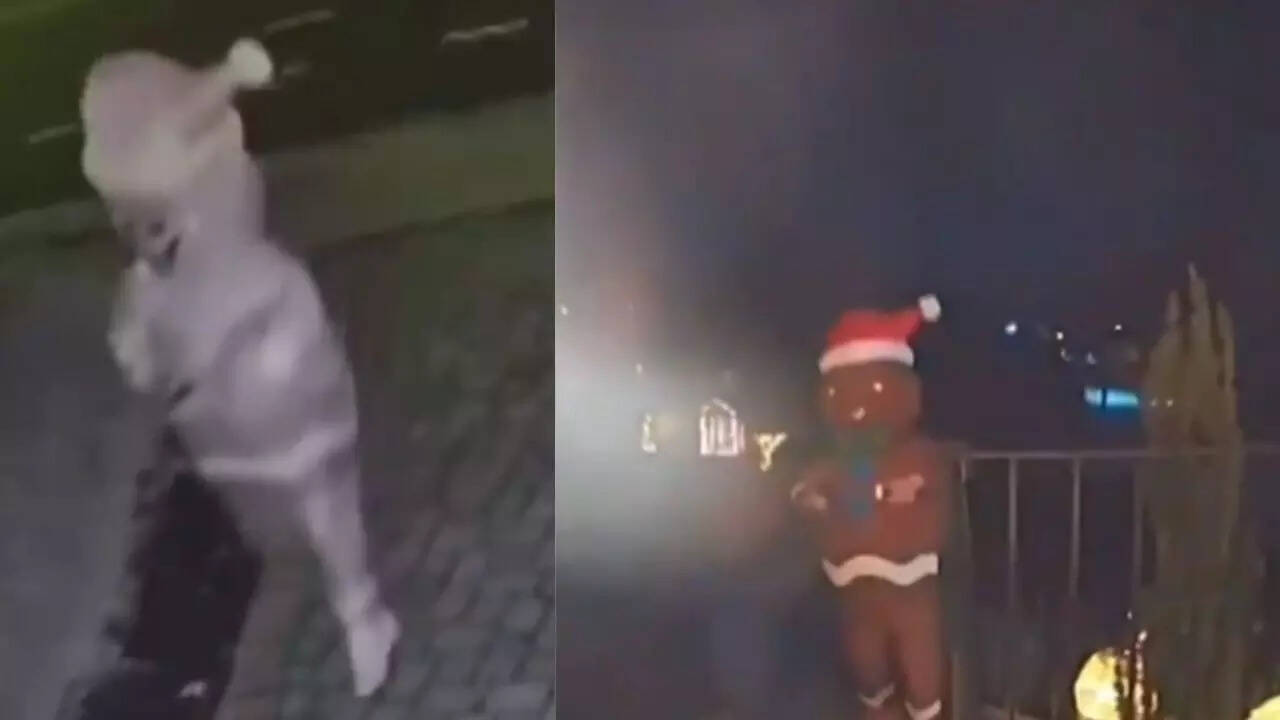 'Gingerbread Man' Tries To Enter Homes in Virginia's Arlington, Caught On Doorbell Cams