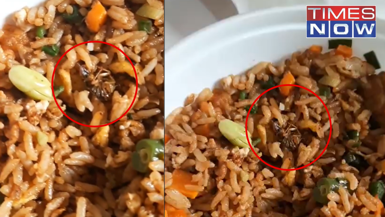 Bengaluru: Dead Cockroach Found in Zomato Food Order