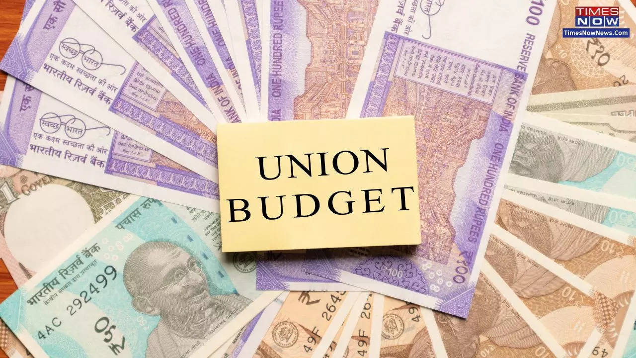 Budget 2024: Key Details of Interim Budget Before General Elections 2024