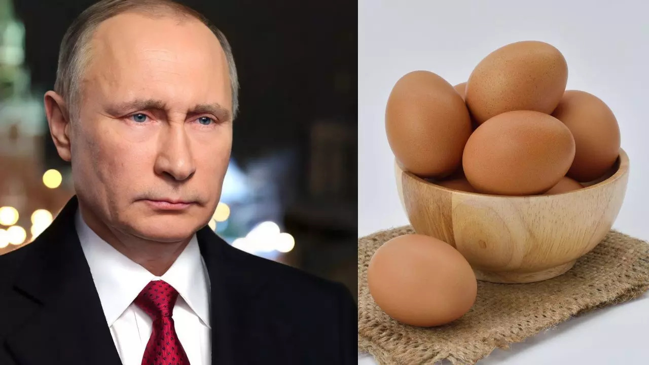 Russia's Egg Shortage Due To Inflation, Vladimir Putin Says 'I'm Sorry'