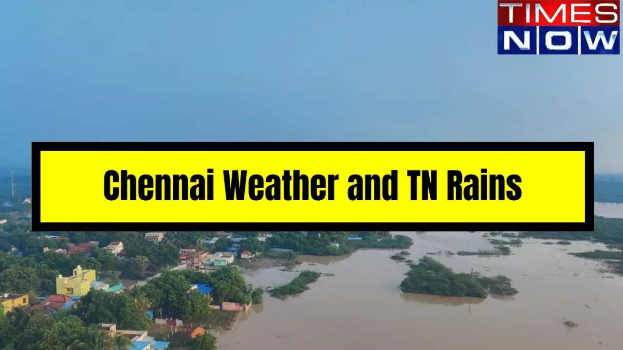 Chennai Rains  Weather Updates Highlights Army Rescues Hundreds Trains Cancelled and Several Structures Submerged