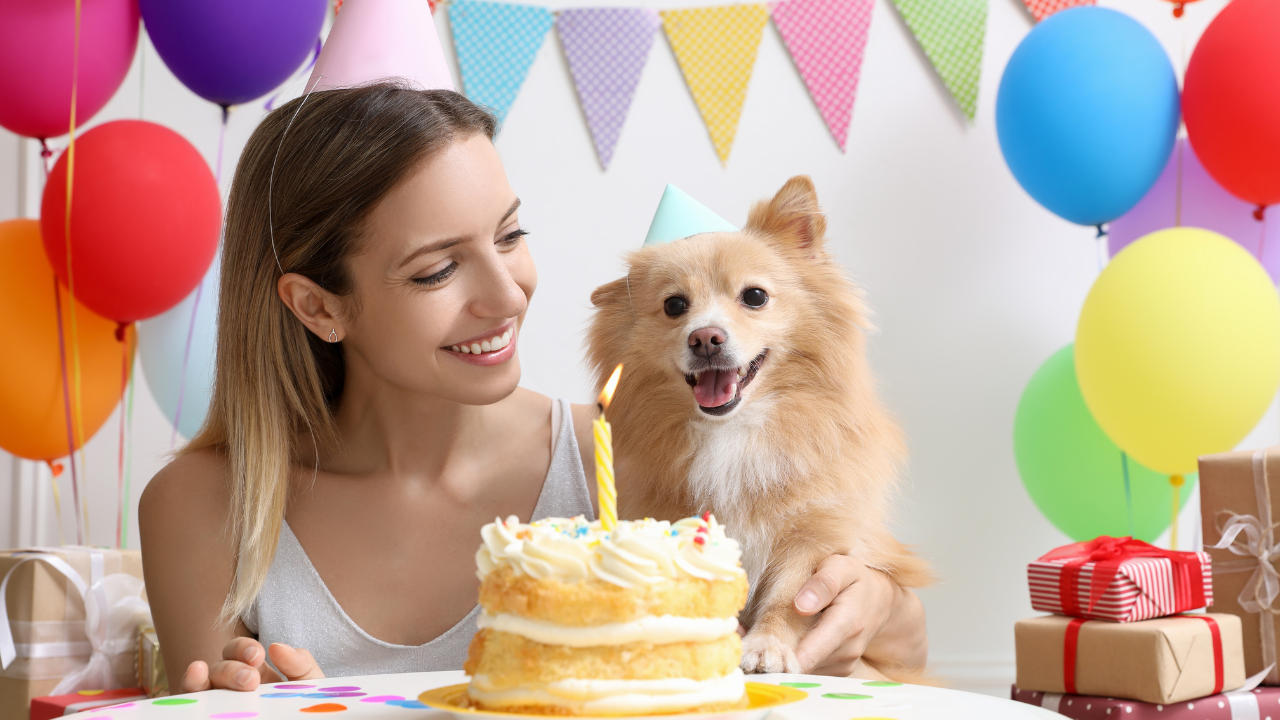 7 Fun Ways To Celebrate Your Pet’s Birthday