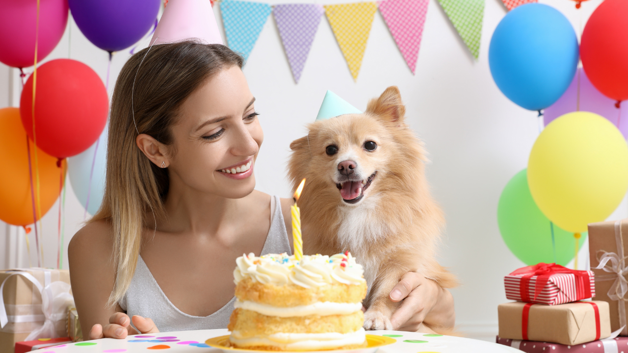 Know different ways to celebrate your pet's birthday. Pic Credit: Canva