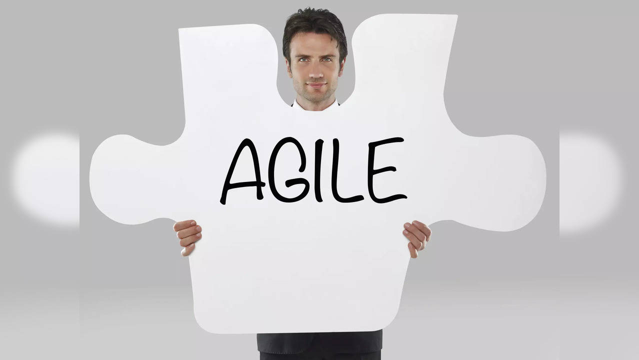 HR Agility: Navigating SME Success in the Digital Revolution