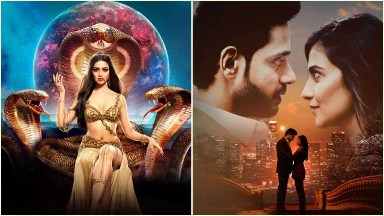 Year Ender 2023: Naagin 6 To Katha Ankahee; Top 6 Shows That Went Off-Air