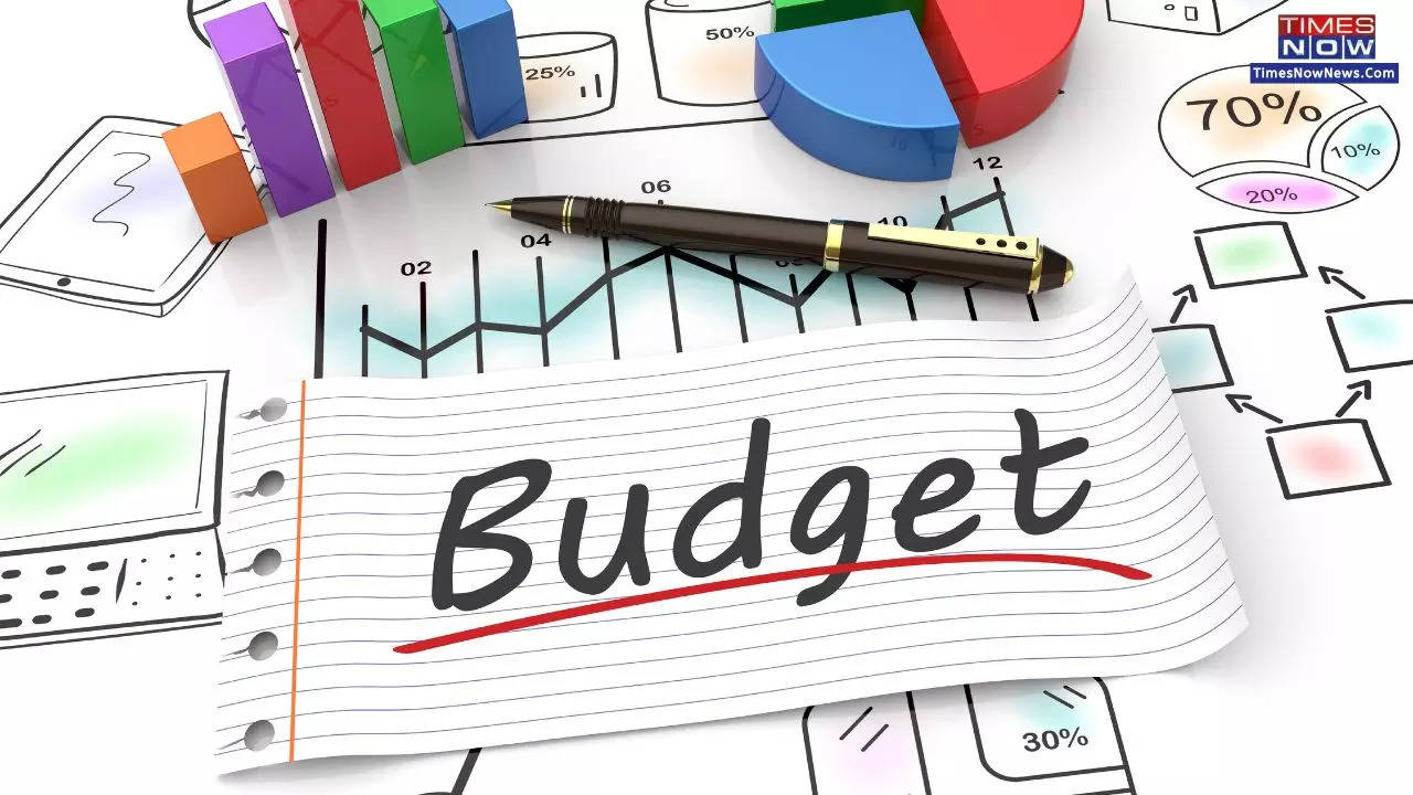 Decoding Budget 2024 What is Interim Budget and How it Differs from