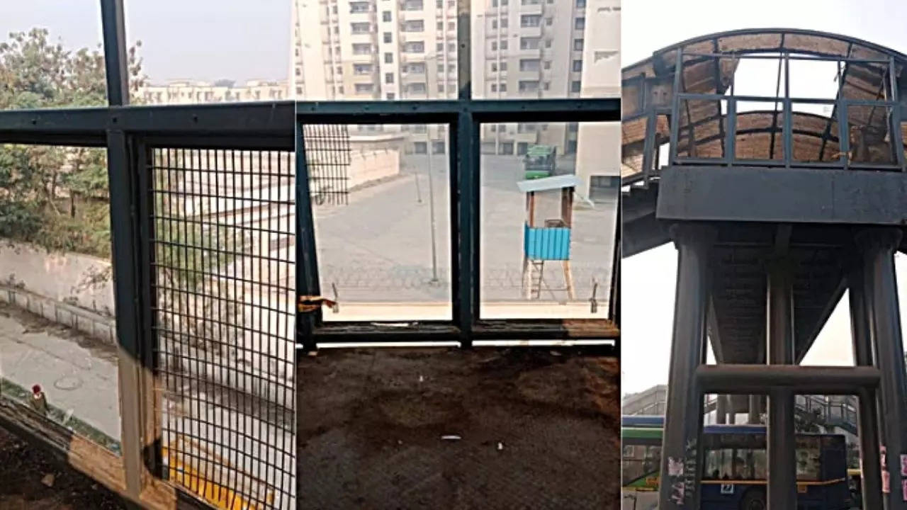 Delhi Boy Dies After Falling Over Bridge