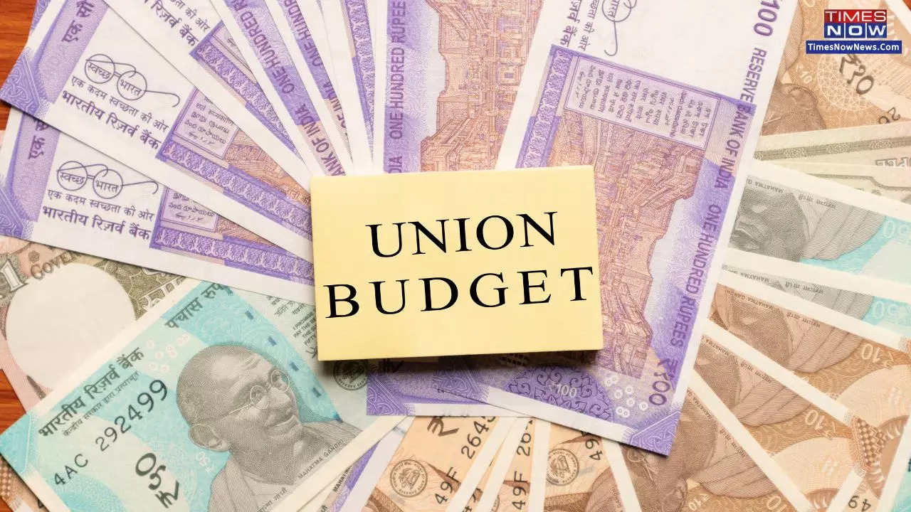 Budget News: Exploring Different Document Types as India Prepares for February's Interim Budget