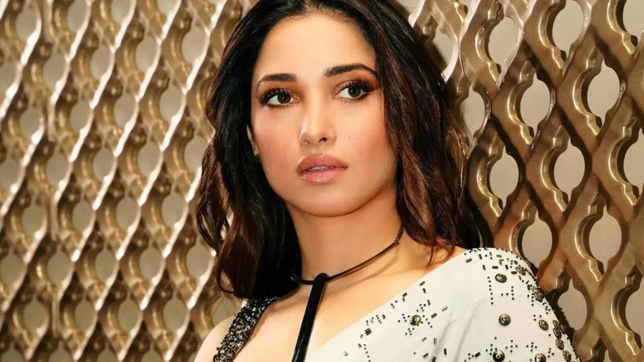 Forget Animal! DYK Tamannaah Bhatia Once Spoke About Toxic Masculinity In South Indian Cinema