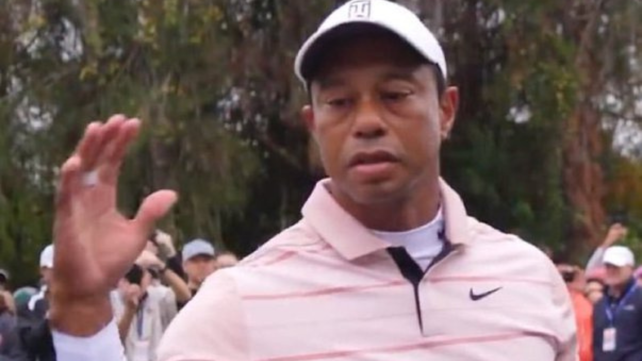 Tiger Woods 'Big Dog' Meme Is Viral